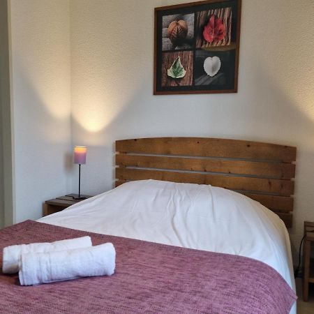 Aureilhan-Appartemant 4-6 Pp Piscine Cosy En Bord Lac 外观 照片